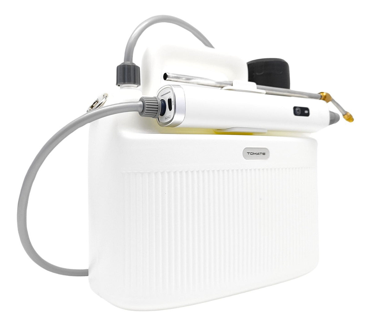 Pulverizador Elétrico 5l Portátil Recarregável Sem Fio Usb Cor Branco